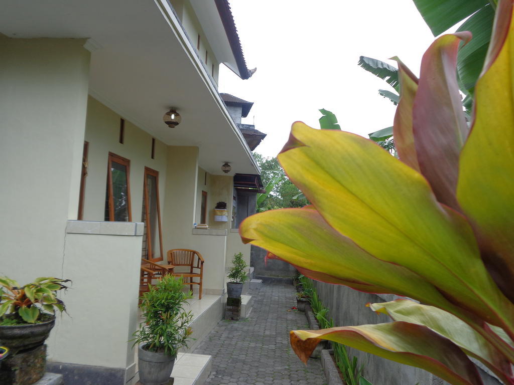 Sintya Homestay Ουμπούντ Εξωτερικό φωτογραφία
